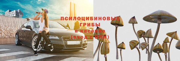 прущие крисы Алексеевка