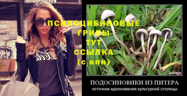 таблы Аркадак