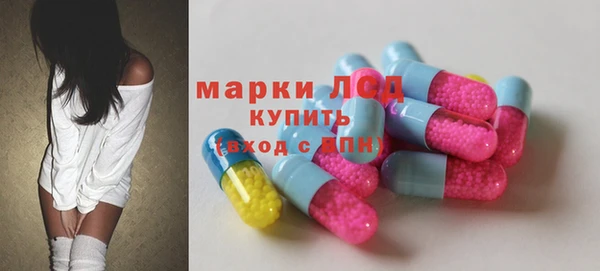 прущие крисы Губаха