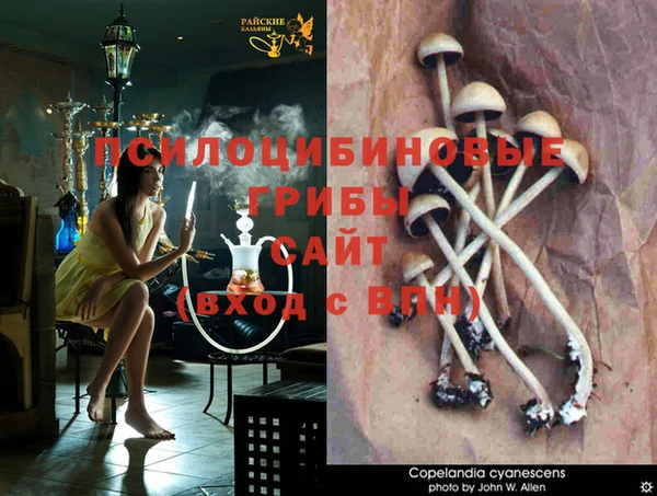 прущие крисы Алексеевка