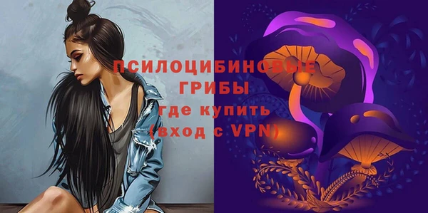 экстази Арсеньев