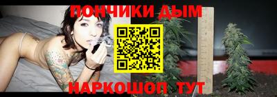 шишки Балашиха