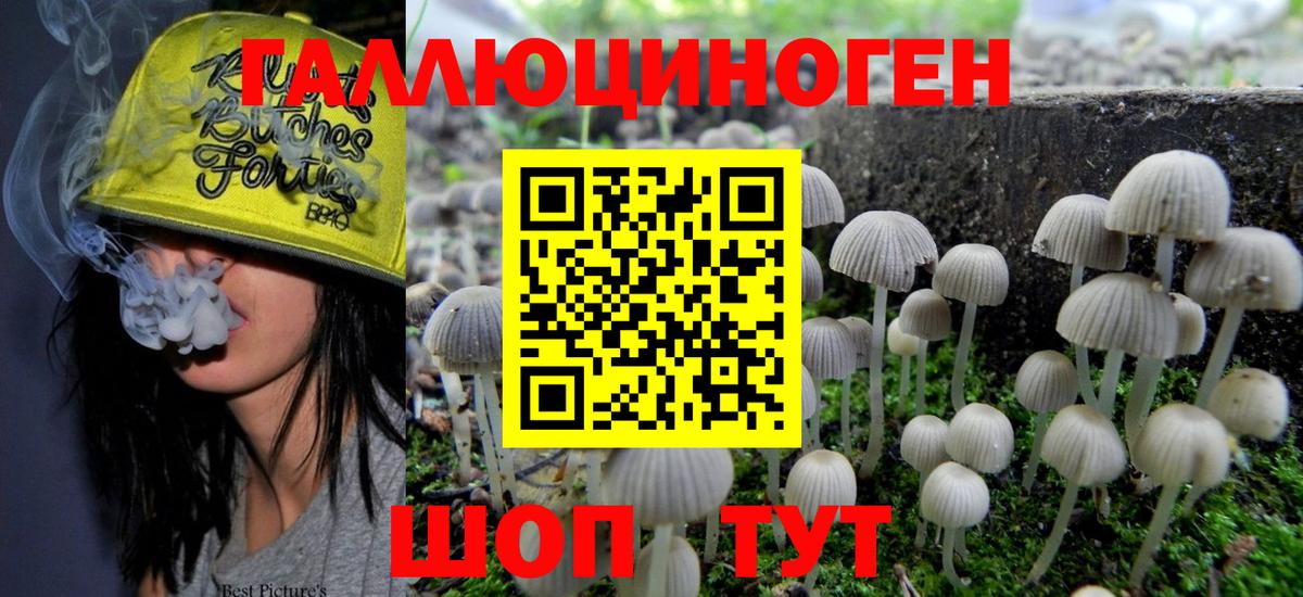 Псилоцибиновые грибы Psilocybine cubensis  Вход с VPN  Выкса 