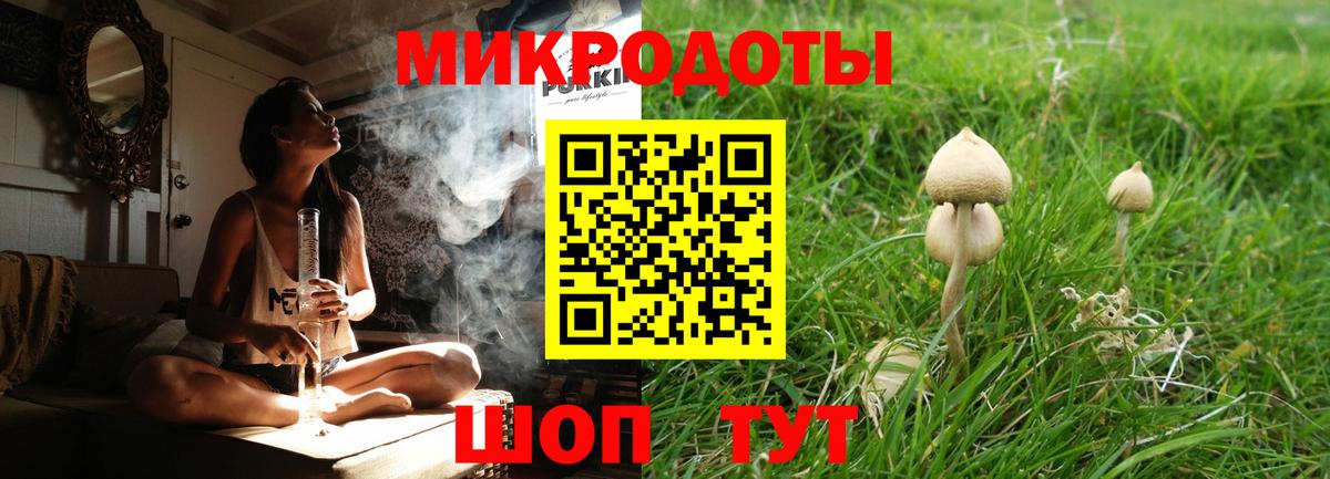 Псилоцибиновые грибы Psilocybe Выкса